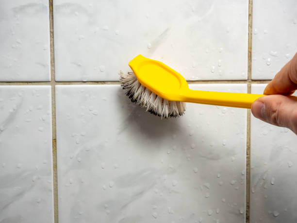 Best Mold Removal Company Near Me  in Lago Vista, TX